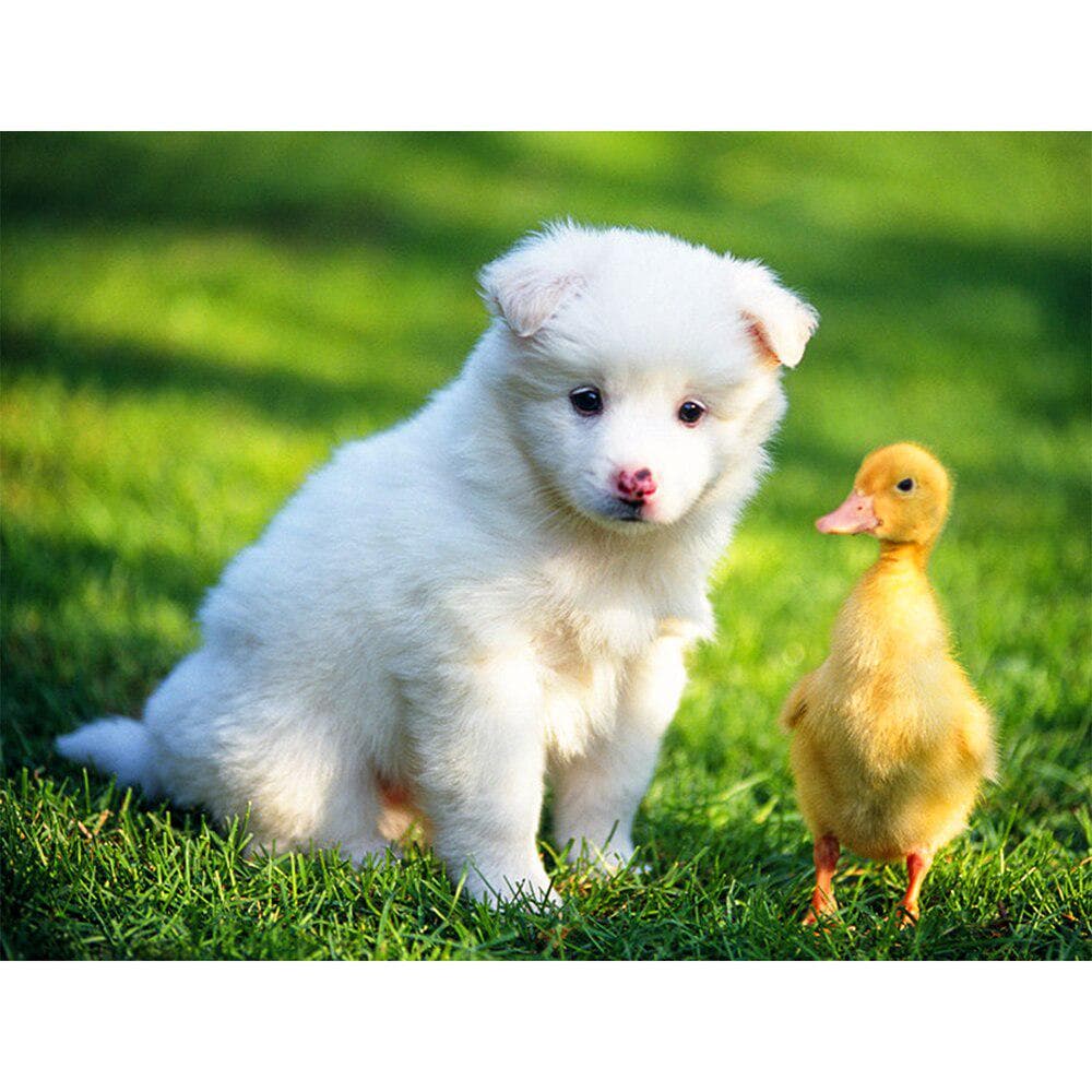 5D DIY Diamond Painting Mosaic Dog and Duck Diamond Rhinestone Embroidery Cross Stitch 20X30CM