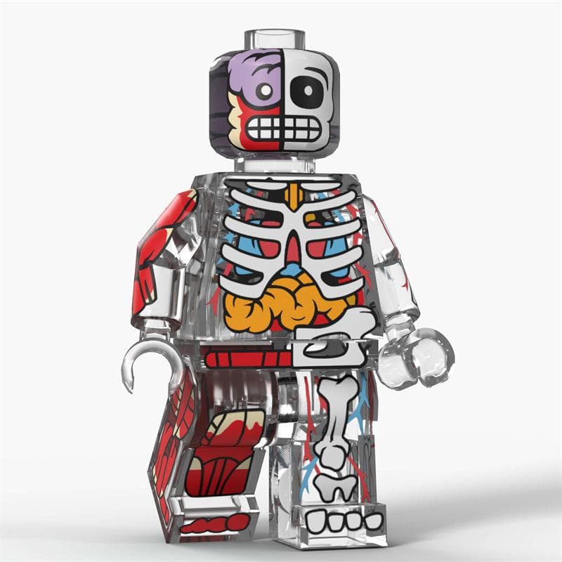 Bag D8005 Anatomical Skeleton Printing Man Assembling Building Block Figure Model Toy