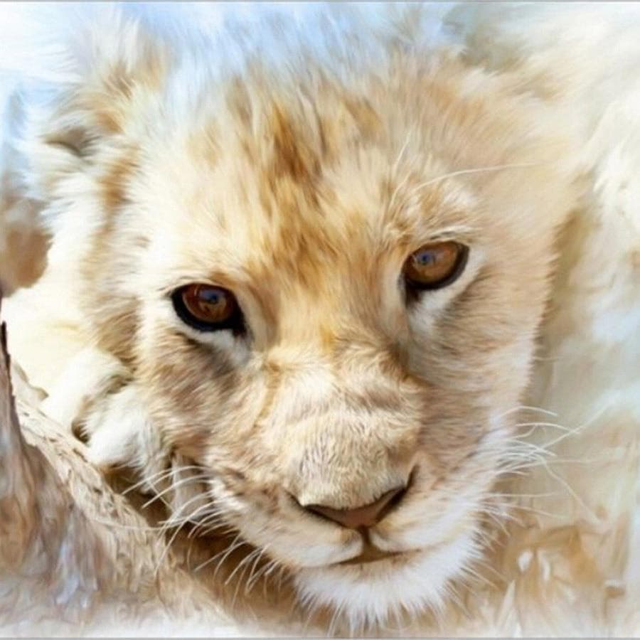 Diy 5D Diamond Painting Cross Stitch Kit Rhinestone Animal Home Decor Full Drill Diamond Embroidery 30x30CM