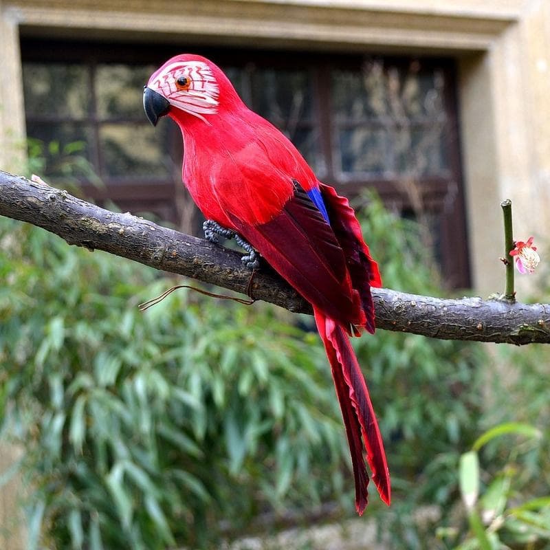 6 Colors 25cm Simulation Parrots Birds Artificial Parrots Home Garden Yard Decoration red