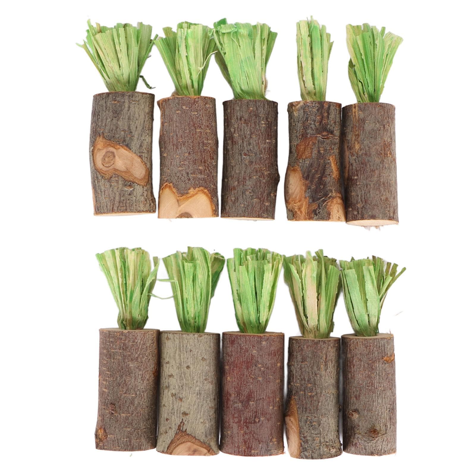 10Pcs Rabbit Chew Sticks Edible Safe Prevent Urinary Stones Decorative Guinea Pig Chew Toys for