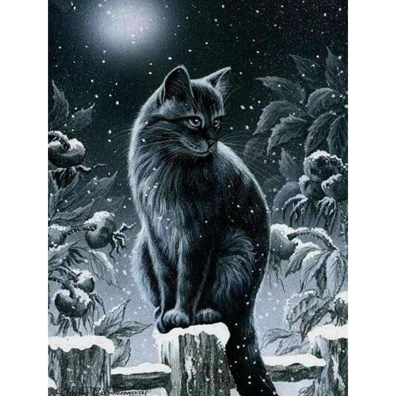 5D Diy Daimond Painting Cross-stitch Night Cat Rhinestone Painting Embroidery Diamant 20X30CM