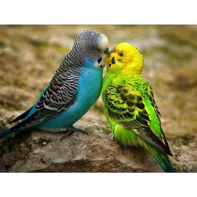 Diamond Embroidery Two Parrots Handmade Diamond Painting Cross Stitch 20X30CM