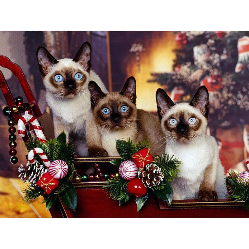 Diamond Painting Christmas and Cat Embroidery Round Diamond Cross Stitch Rhinestone Mosaic Decor 20X30CM