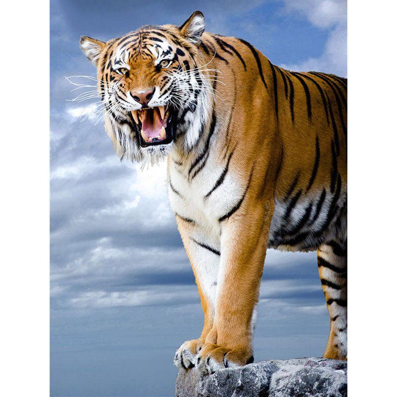 Full Round Drill Diamond Embroidery A Tiger on A Stone DIY Diamond Painting Cross Stitch Rhinestone 20X30CM