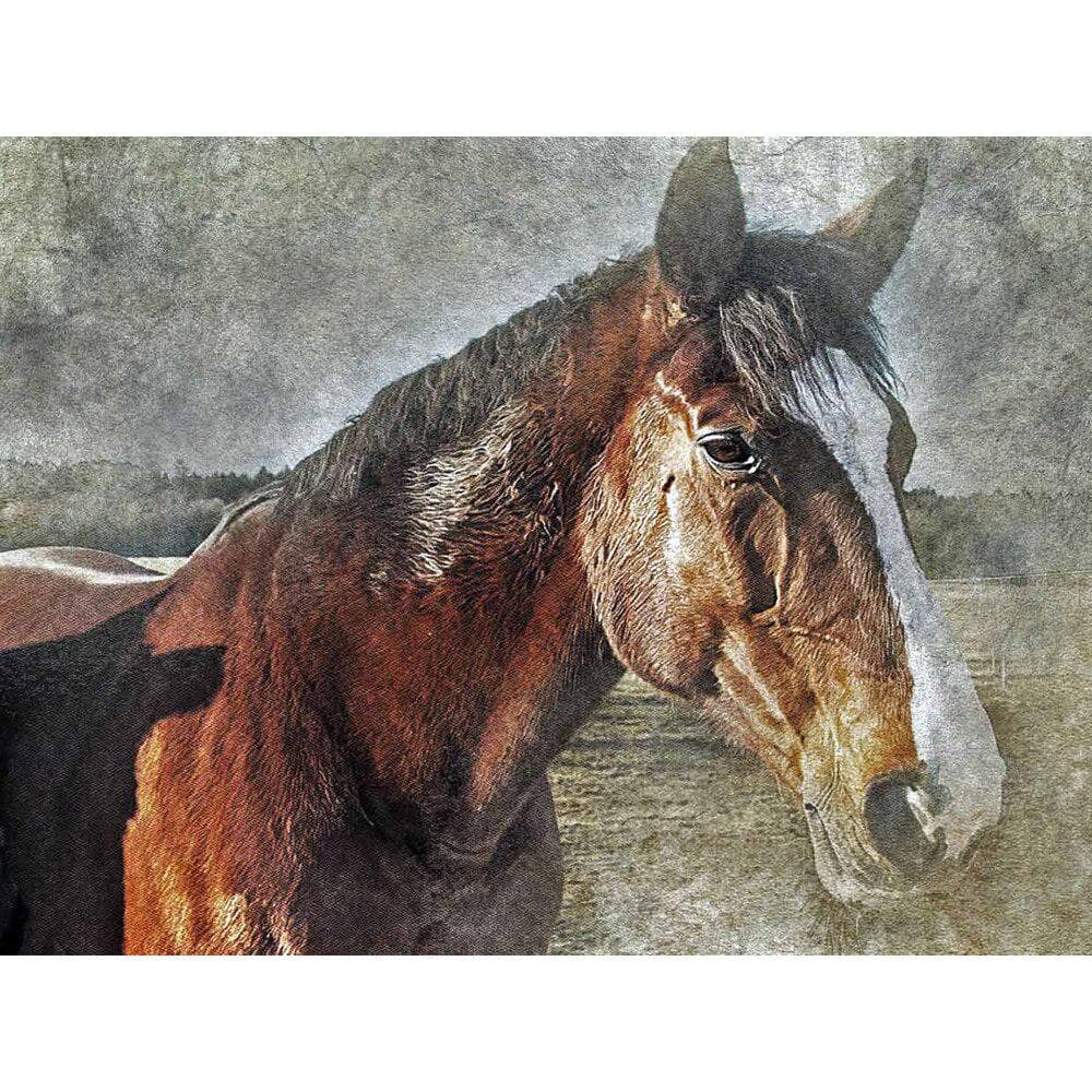 Diamond Embroidery Horse Animal Picture Rhinestone Full Round Diamond Painting Animal Crystal 20X30CM
