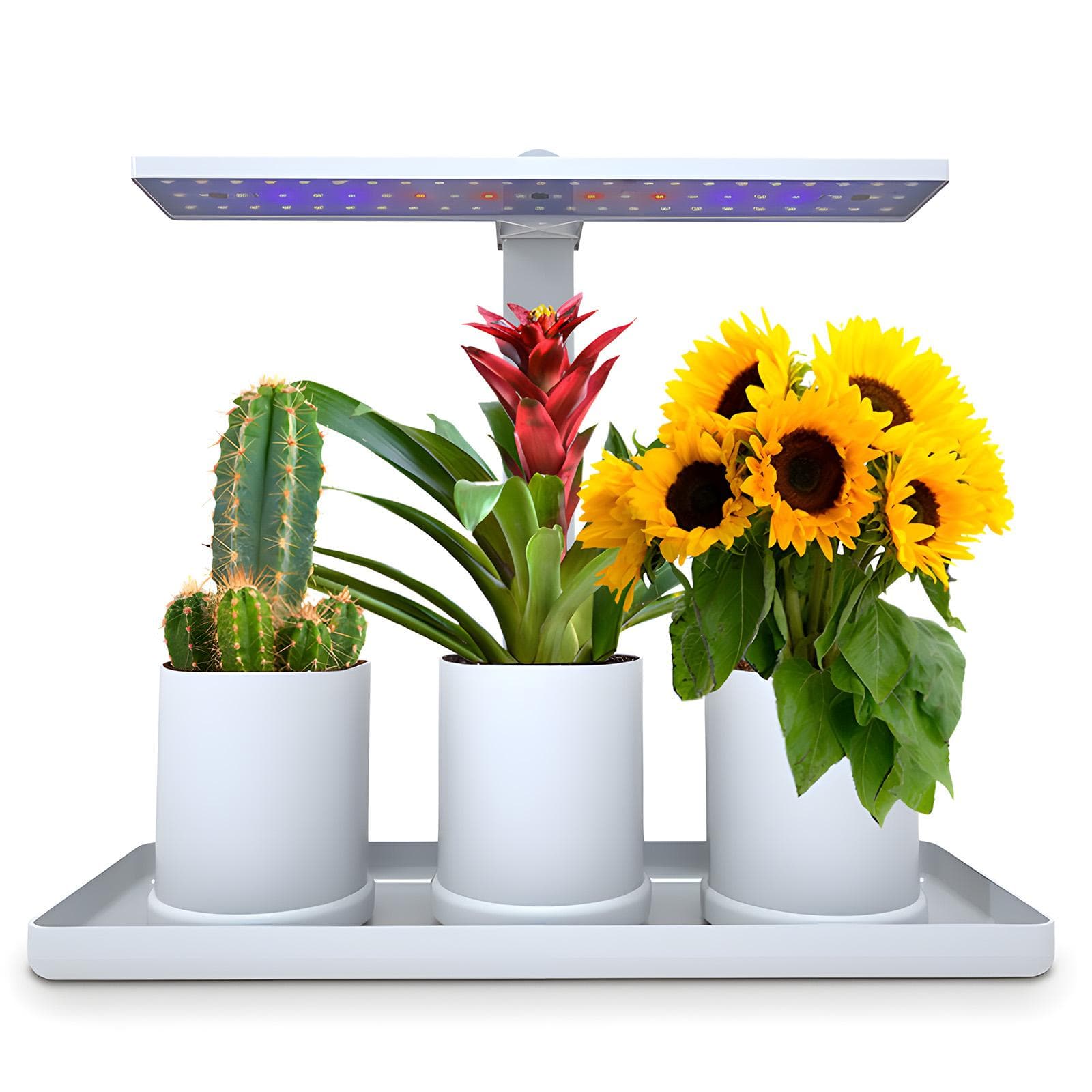 Desk Grow Lights for Indoor Plants Full Spectrum Desk LED Plant Light with 3/9/12H Auto Timer UK Plug white
