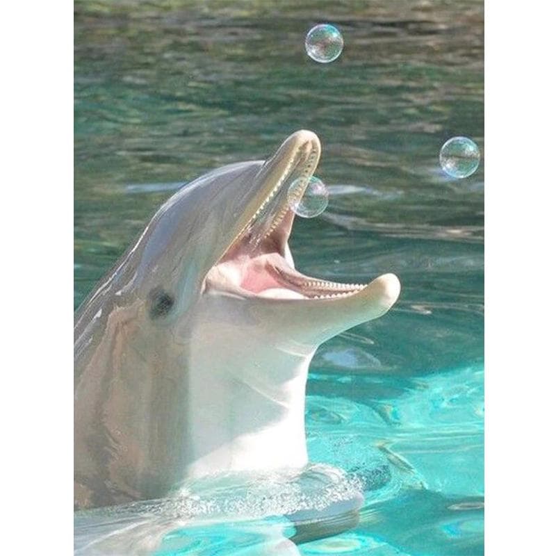 5D DIY Diamond Painting Dolphin Diamond Embroidery Cross Stitch Animals Rhinestone Mosaic Home Decor 20X30CM