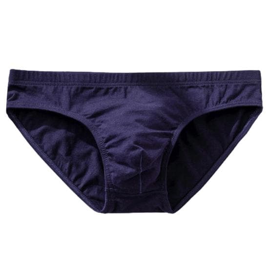 Sweat Absorbing Ultralight Man Briefs Stylish Plus Size Men Underpants 2XL royal blue