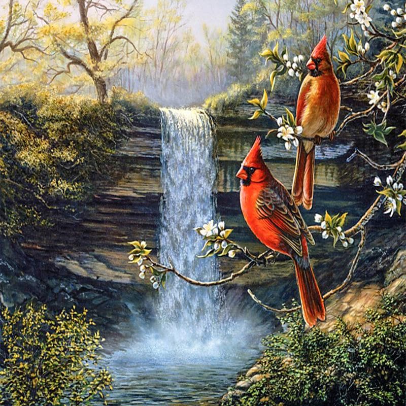 Diamond Embroidery Mosaic Diy Rhinestones Embroidery Painting Gift Bird Waterfall Diamond Wall Arts 30x30CM