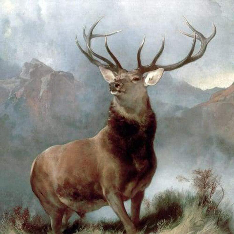 Diamond Embroidery Mosaic Gift Handicrafts Embroidery Monarch Deer Full Drill Diamond Painting Kits 30x30CM