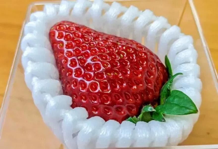 Sembikiya Queen Japanese Strawberries: 10 fresh seeds for planting