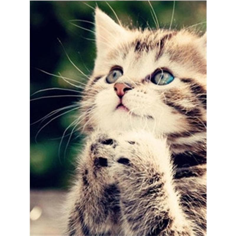 5D DIY Diamond Paintings Full Drill Round Lover Cat Mosaic Art Embroidery Animals Pattern Handmade 20X30CM