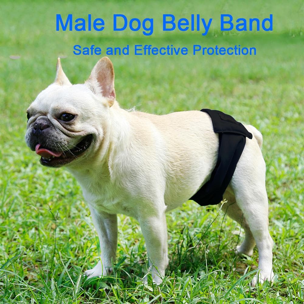 Male Dog Belly Band Pet Diaper Washable Wrap Waterproof Toilet Training Dog Physiological Pant XXL