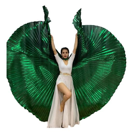 1 Set Performance Telescopic Rod 360 Wings Egyptian Degree Belly Dance Cape with Costume Pleated Bright green