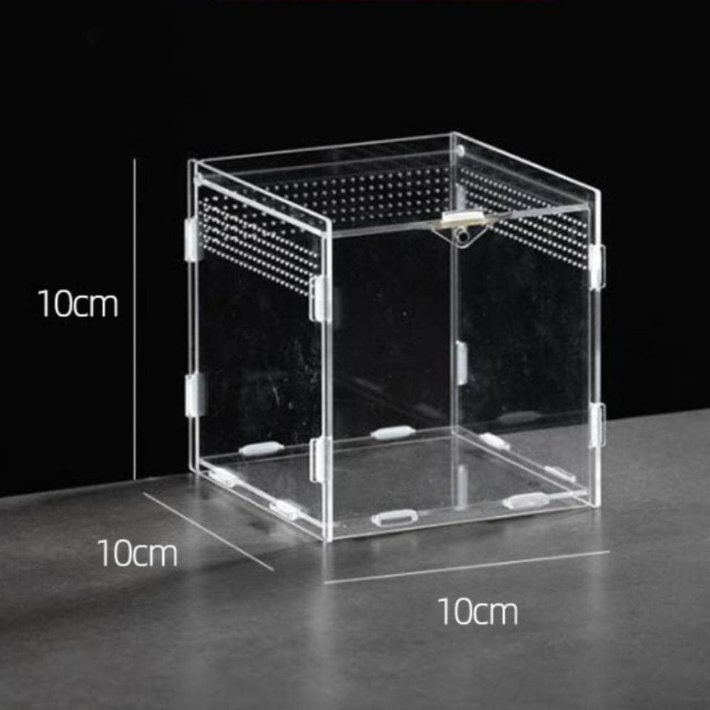 Acrylic Reptile Habitat Clear Spider Feeding Case Durable Lizard Breeding Box for Scorpion 10X10X10cm