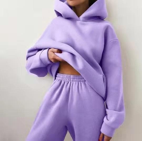 Women Elegant Solid Sets For Women Warm Hoodie Sweatshirts And Long Pant Fashion Two Piece Sets Ladies Sweatshirt Suits S purple