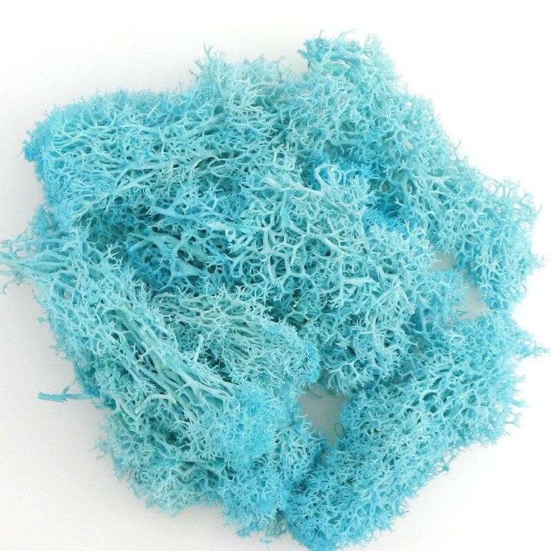 20g Artificial Green Plant Immortal Fake Flower Moss Grass Home Living Room Decorative Wall DIY Flower Accessories sky blue