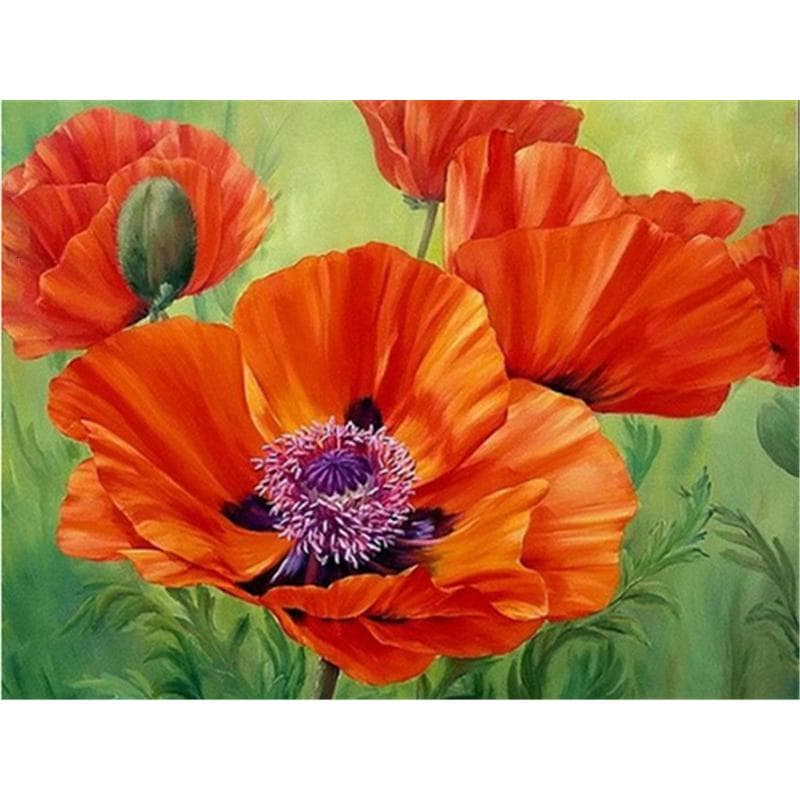 DIY 5D Diamond Painting Flowers Diamond Embroidery Diamond Mosaic Pictures Home Decor 20X30CM