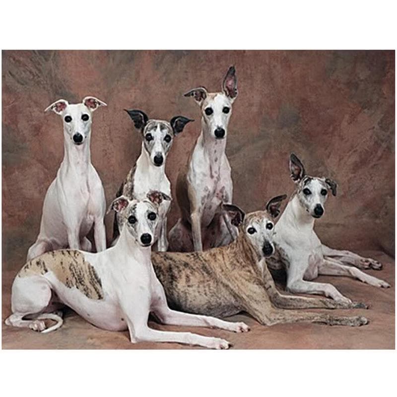 Diamond Embroidery Whippet Dog Diy Diamond Painting Full Mosaic Picture of Rhinestones Cross-stitch 20X30CM