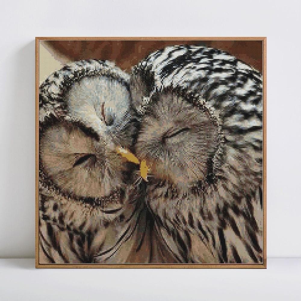 5d Diy Diamond Painting Full Round Arrival Diamond Embroidery Owl Diamond 30x30CM