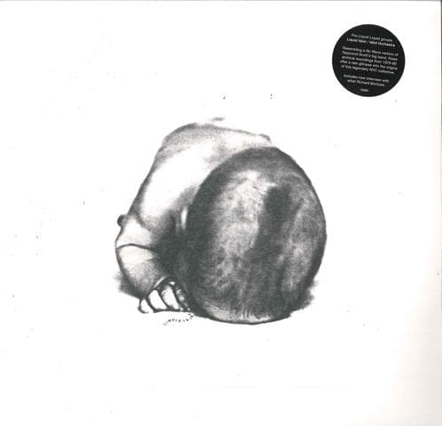 LP Record LIQUID IDIOT / THE IDIOT ORCHESTRA - Liquid Idiot / Idiot Orchestra SV091 Superior Viaduc 2015 US Rock