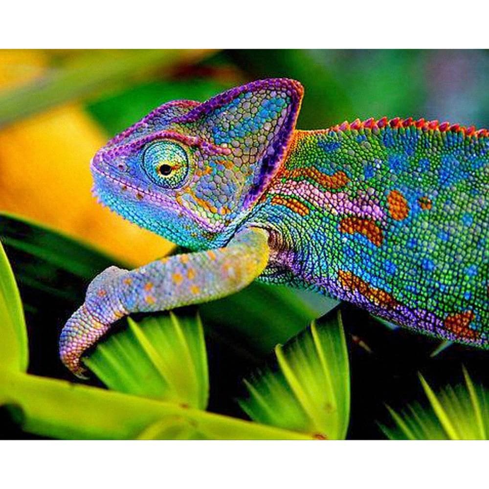 Diamond Embroidery chameleon 5D Diamond Painting Cross Stitch Diamond Mosaic Needle Craft 40X50CM