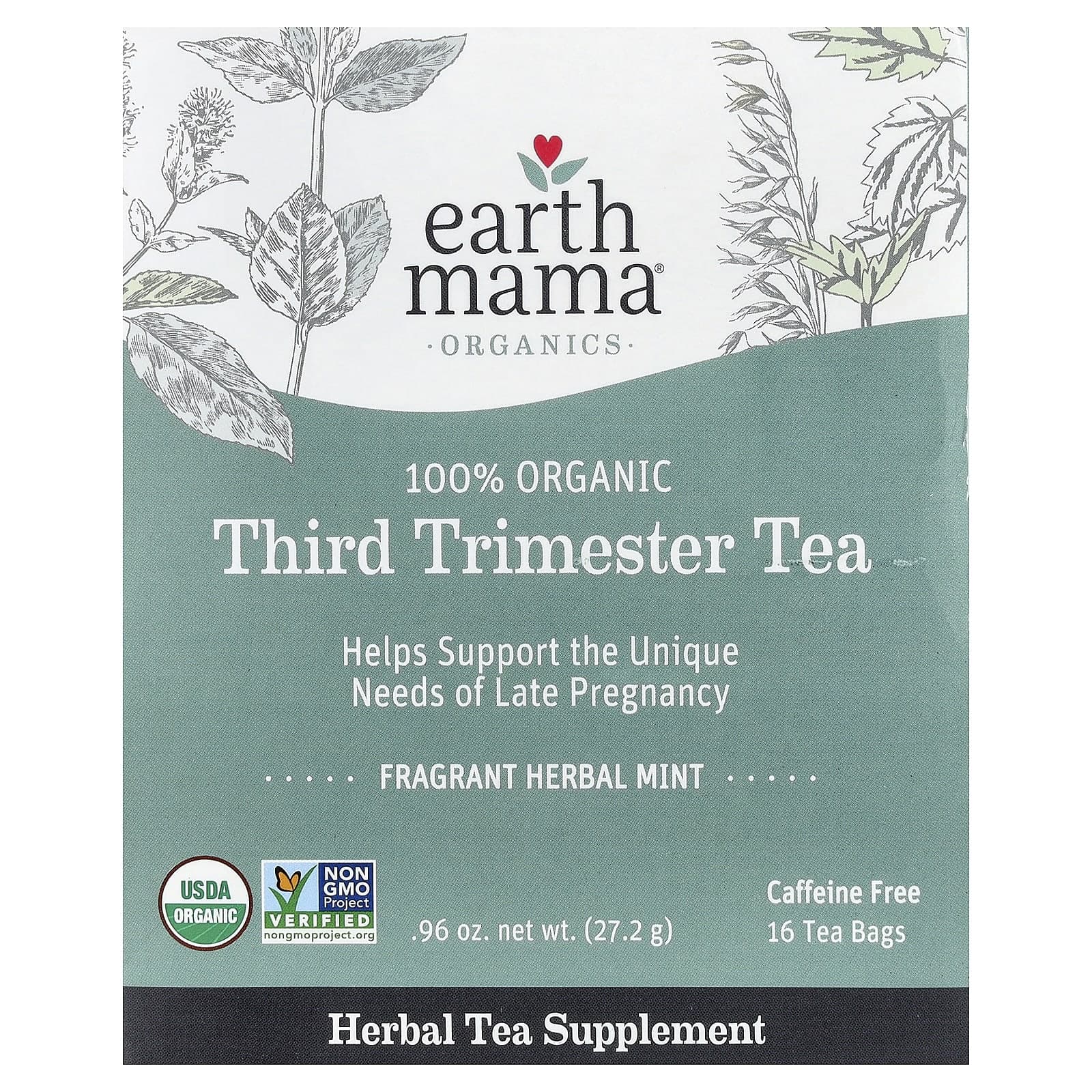 Earth Mama, Organics, 100 Organic Reviews Tea, Mint, Caffeine Free, 16 Tea Bags, 27.2g (0.96oz)