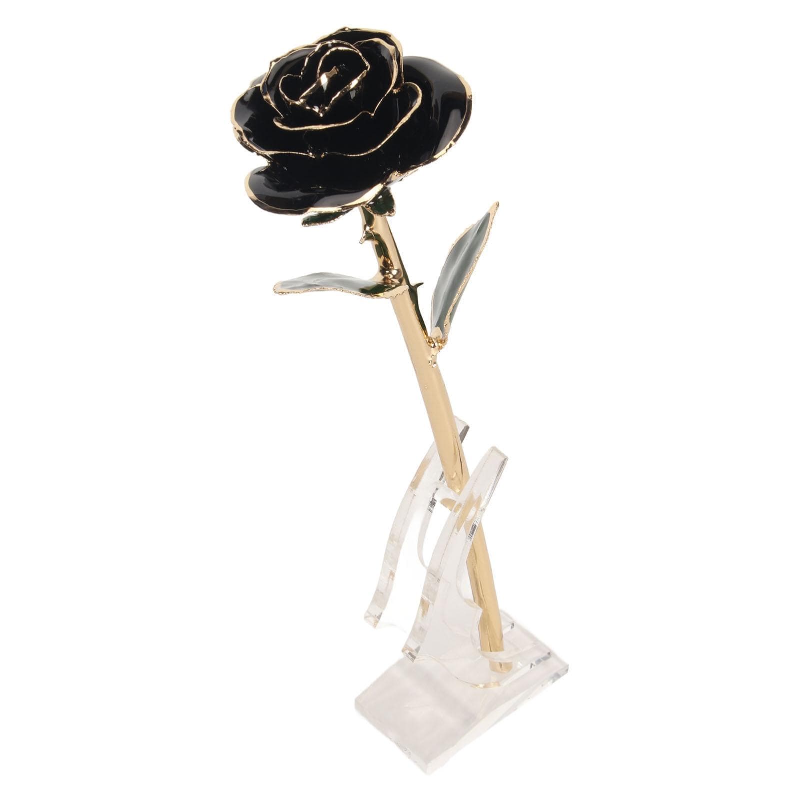 Preserved Rose 24K Gold Plated Bright Luster Rich Details Naturally Gold Dipped Rose with Holder black
