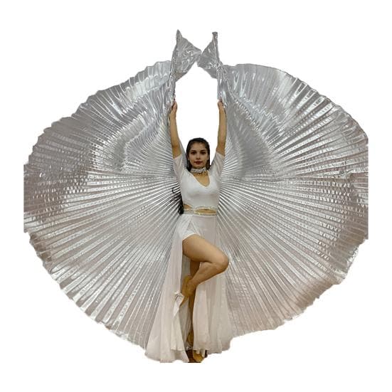 1 Set Performance Telescopic Rod 360 Wings Egyptian Degree Belly Dance Cape with Costume Pleated Bright silver