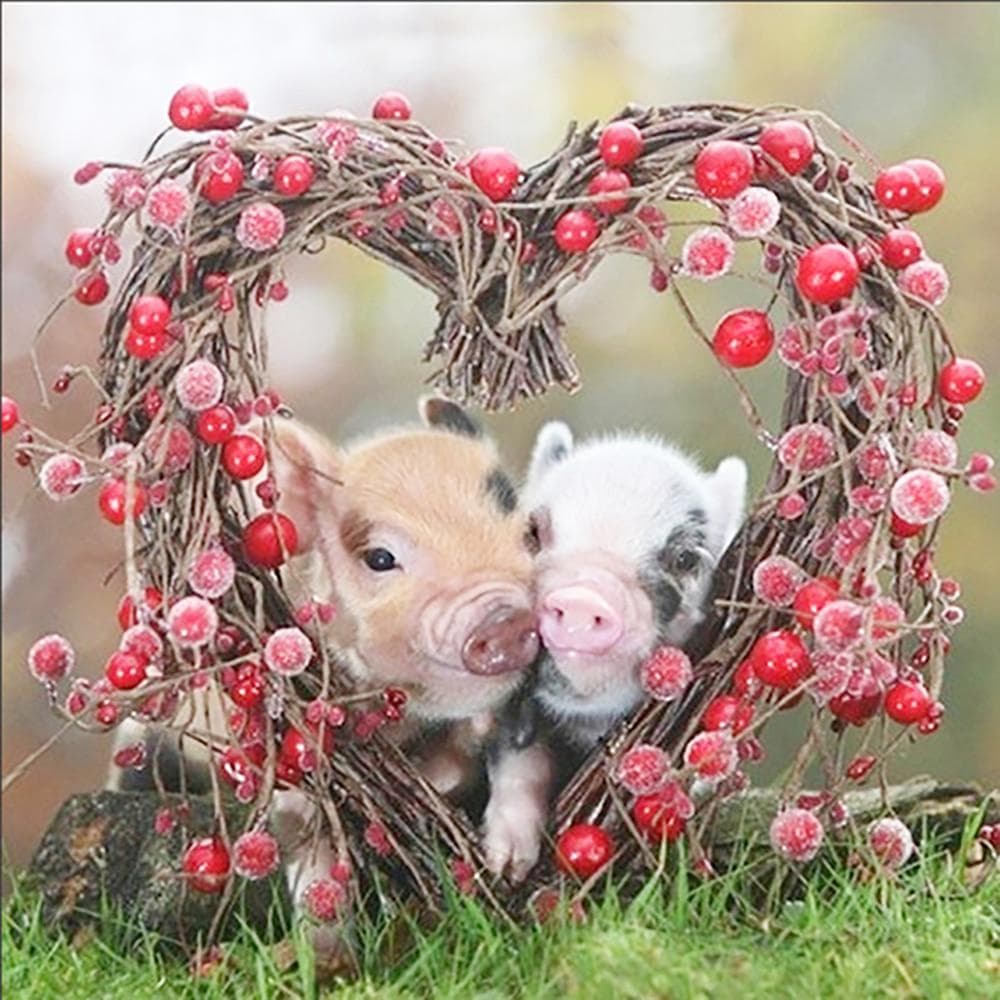 Diamond Embroidery Full Pig & Sweet Cherry 5d Diy Diamond Painting Cross Stitch Resin Diamond 30x30CM