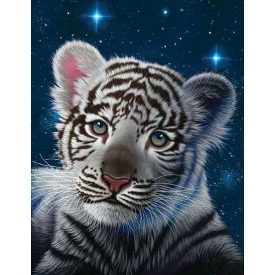 Diamond Painting Tiger Cross Stitch Diamond Embroidery Animal Tiger Photo Diamant Painting 20X30CM