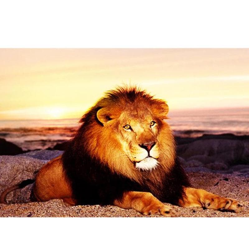 5D DIY Diamond Painting Full Drill Animals Lion Cross Diamond Embroidery Picture Round Diamond 20X30