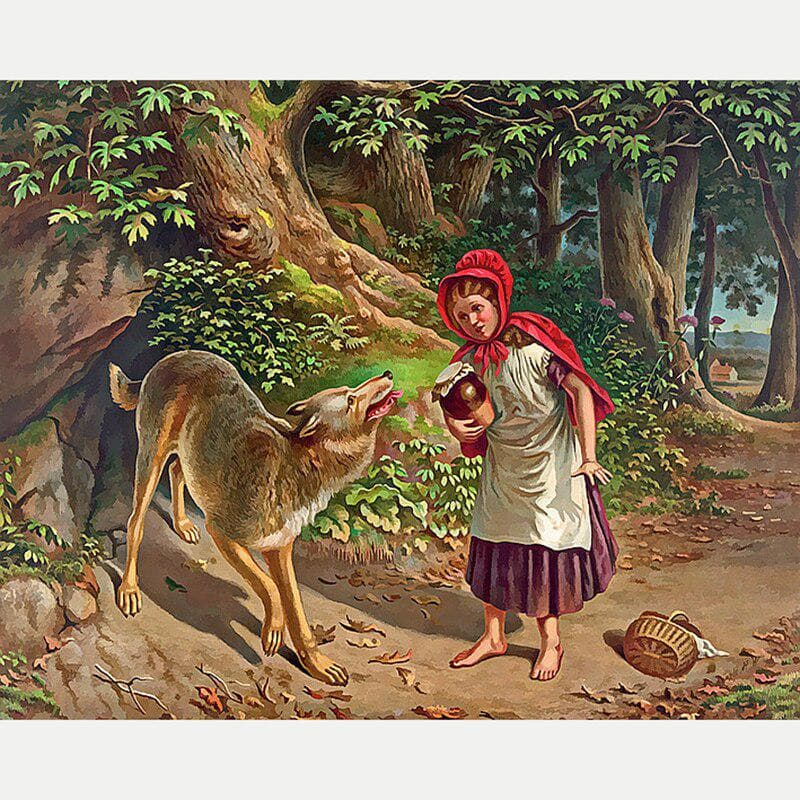 Full Drill 5D DIY Diamond Embroidery Wolf with The Girl Diamond Painting Cross Stitch 20X30CM