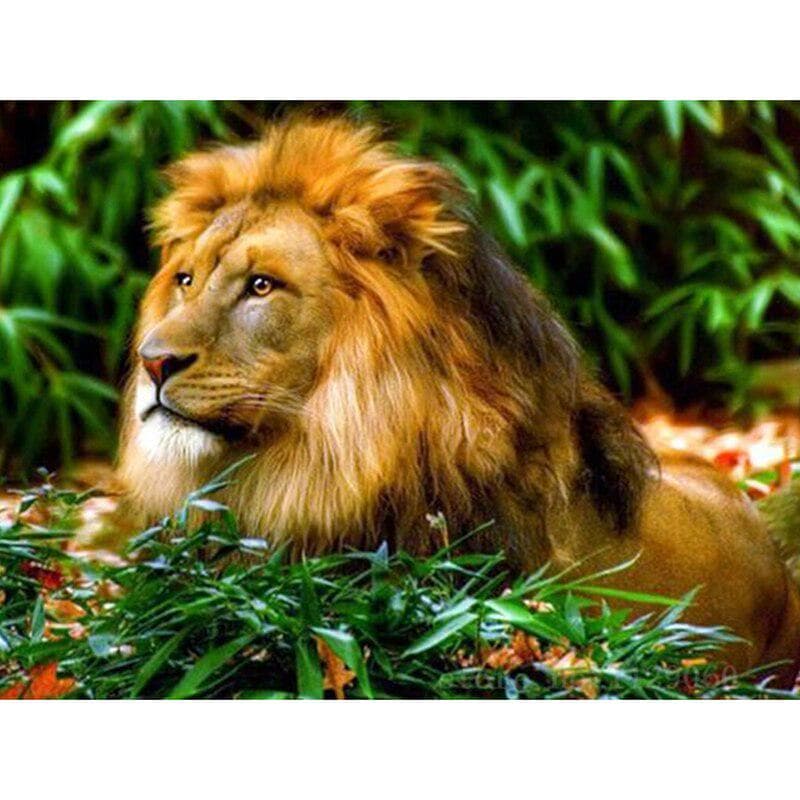 5D Diamond Painting Animals Full Round Diamond Mosaic Lion Picture Embroidery 20X30CM