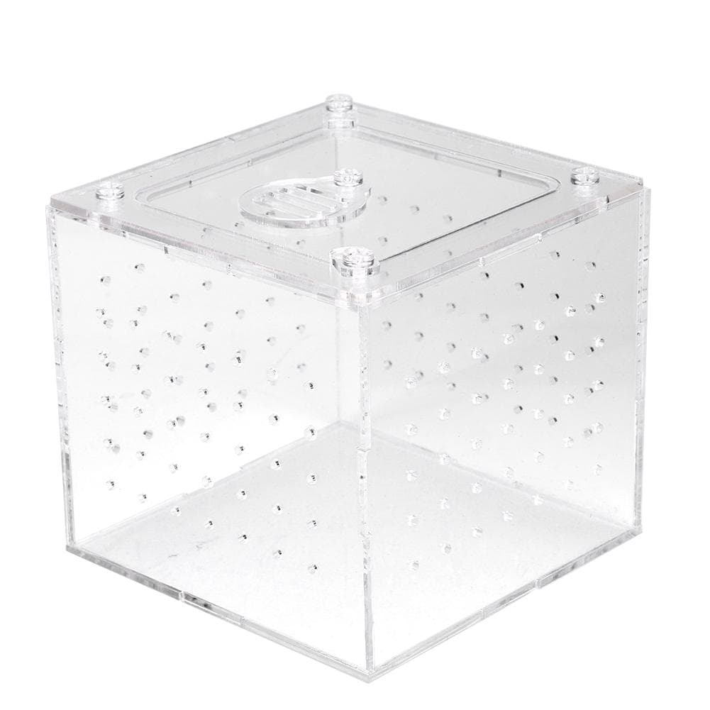 1Pc Reptile Terrarium Feeder Snakes Spider Lizard Breeding Acrylic Box Case Insects House