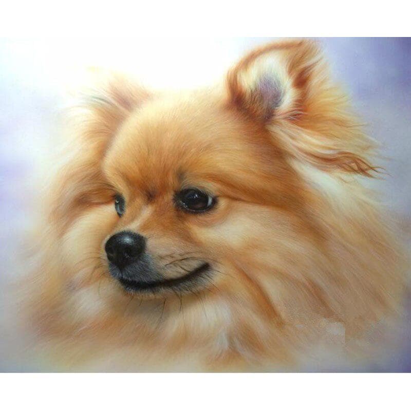Diamond Painting Cross Stitch Pomeranian Pictures Mosaic Full Round Diamond Embroidery Adornment 30X40CM