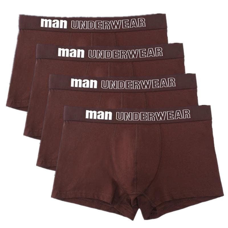 4 Pieces Mens Underwear Cotton Soft Boxers Shorts Big Size High Quality Underpants XL brown