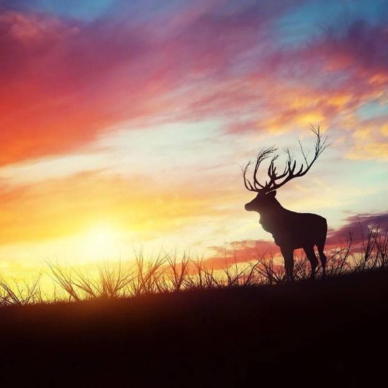 Diamond Embroidery Long-horned Deer Wall Stickers Home Decoration 30x30CM