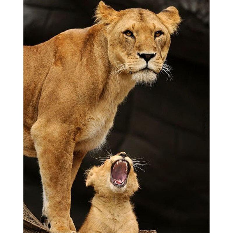 5D Diamond Painting Lion Wall Sticker Mosaic Diamond Embroidery Cross Stitch 20X30CM