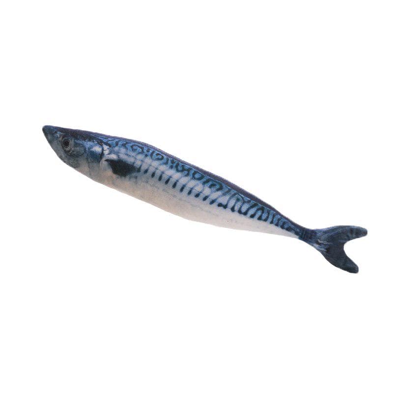 20cm Funny Simulation Fish Kids Pillow Plush Soft Toy Children Stuffed Animal Cats Toys Home Decor