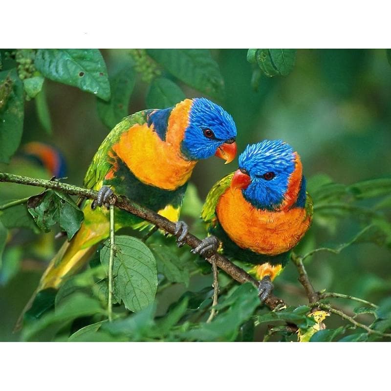 5D DIY Diamond Painting Birds Embroidery Mosaic Cross Stitch Rhinestone Decoration 20X30CM