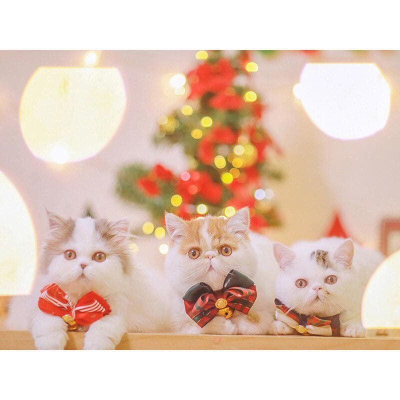 Full Round DIY Diamond Embroidery Christmas Cat 5D Diamond Painting Rhinestone Mosaic Home Decor 20X30CM