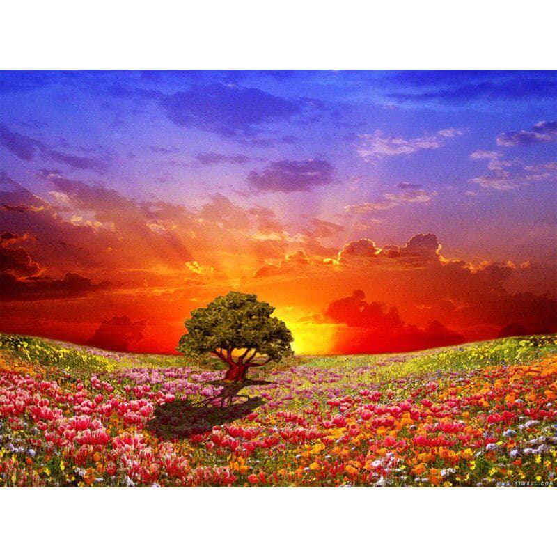 Diamond Painting Full Drill Squar 5d Diamond Full Round Diamond Painting Sunset Prairie 20X30CM