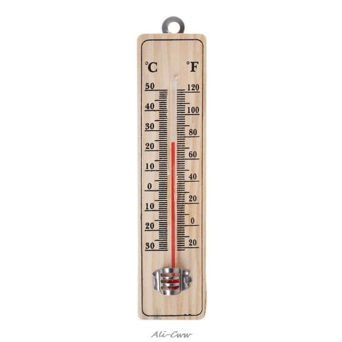 Thermomètre Mural - Neuf - Intérieur/Extérieur - Lecture Celsius/Fahrenheit - Bois - 15cm