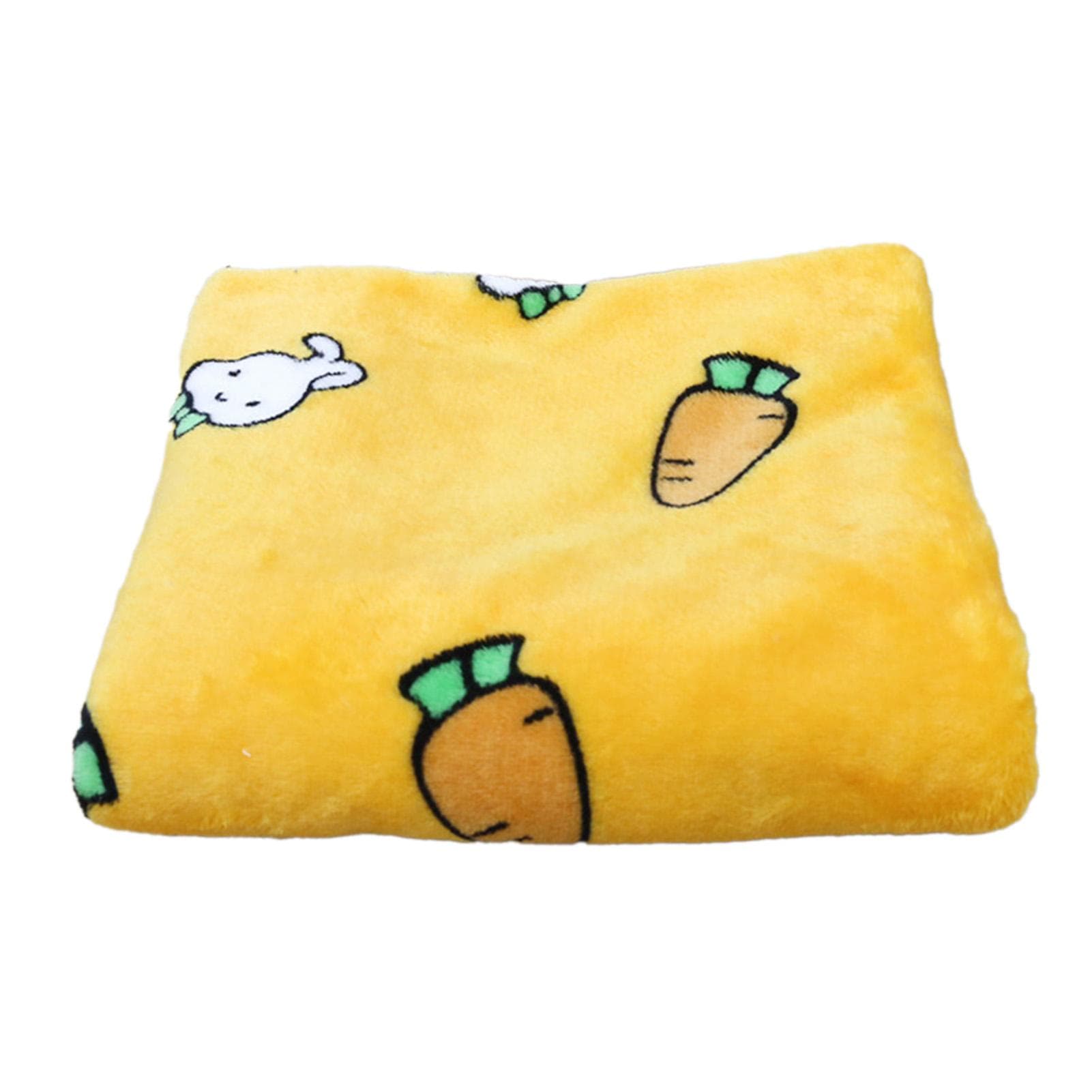Pet Blanket Thick Soft Warm Double Sided Flannel Coral Fleece Cat Dog Sleep Blanket for Small