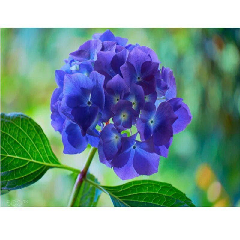 Diamond Embroidery Painting Cross Stitch Kits Wall Mosaic Blue Flowers Home Decor Gift 20X30CM