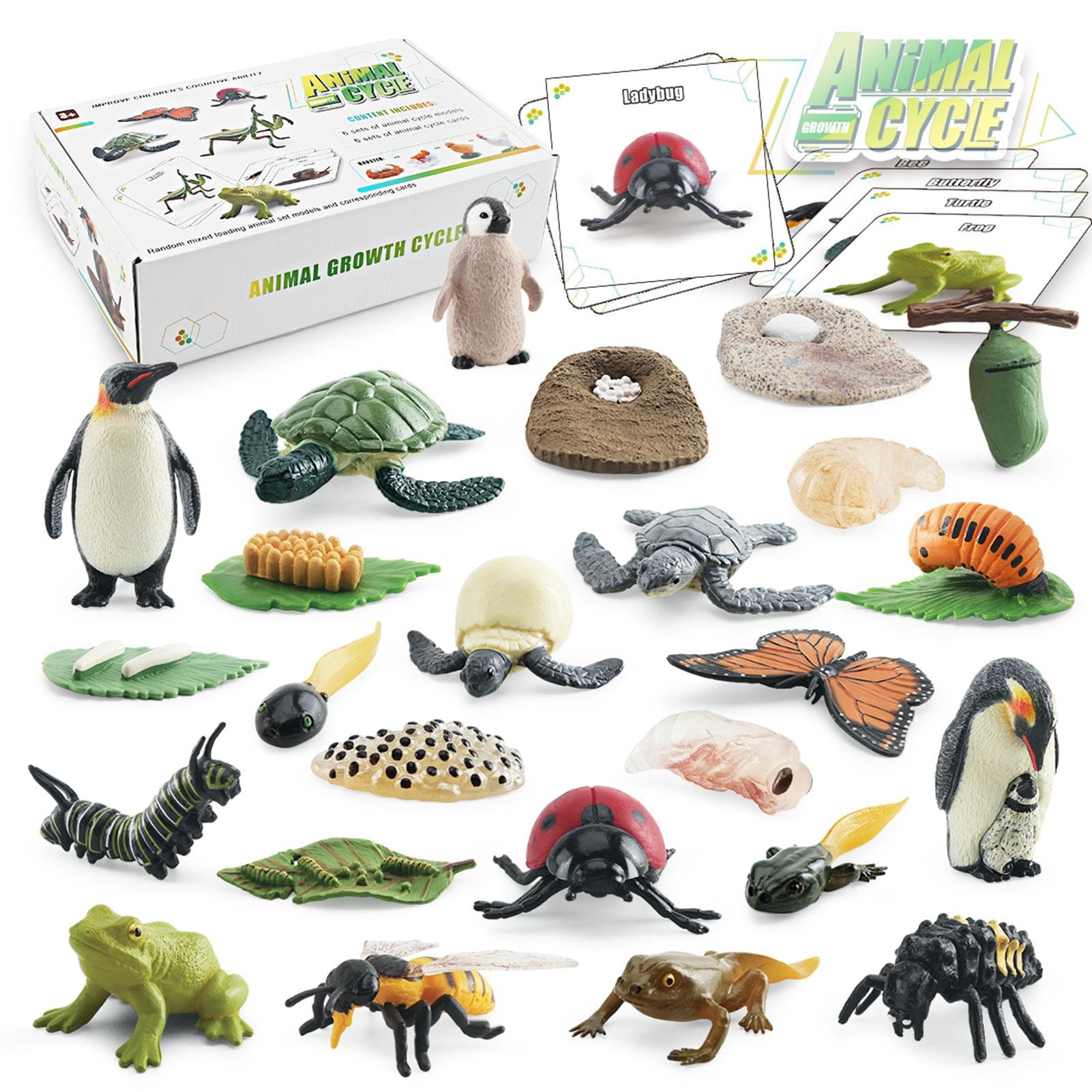 Bisofice Life Cycle Learning & Education Montessori Toys Toddler Education Animal Figures of Frog multicolour