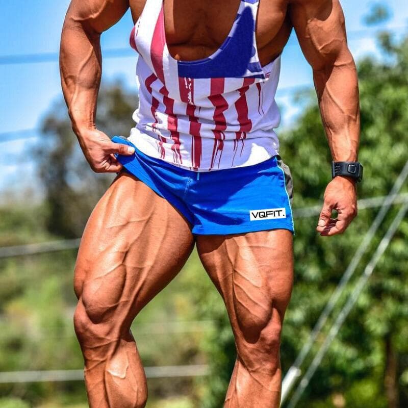 Muscleguys Mens Gyms Shorts Summer Casual Bermuda Beach Shorts Men Sporting Bodybuiding Short Sweatpants Dry Fit Shorts Fitness Clothing L blue