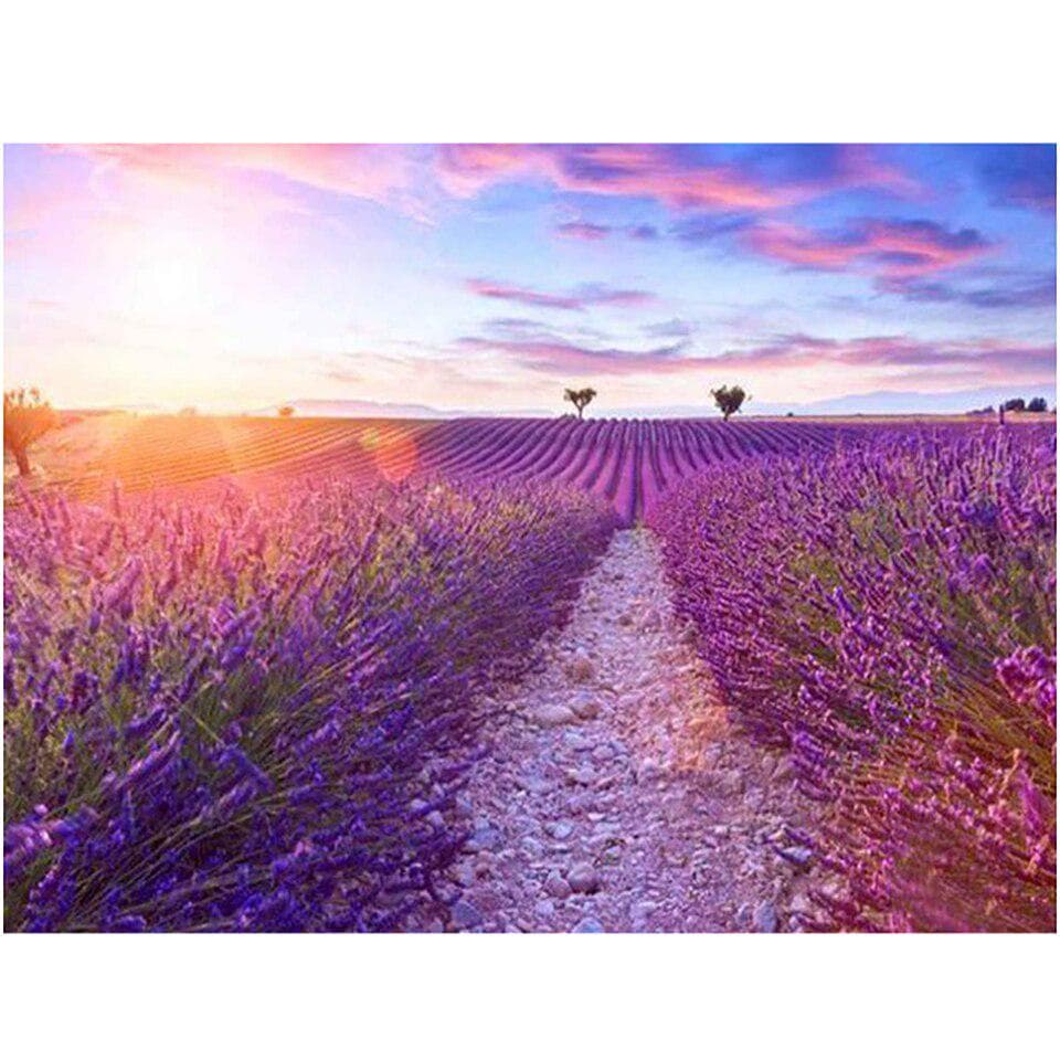5D DIY Diamond Painting Sticker Purple Lavender Picture Home Wall Art Full Drill Cross Stitch 20X30CM